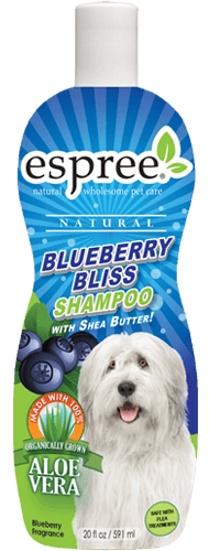 Blueberry Bliss Shampoo